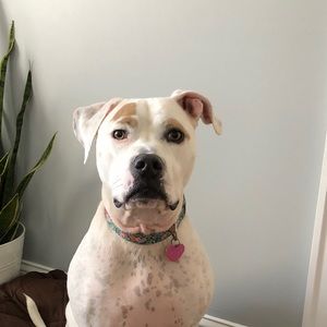 Meet your Posher, Mike